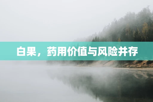 白果，药用价值与风险并存