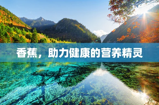 香蕉，助力健康的营养精灵