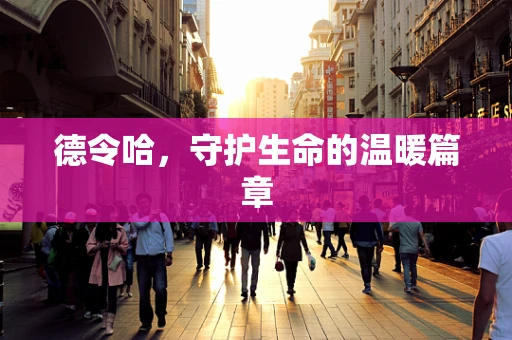 德令哈，守护生命的温暖篇章