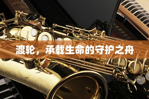 渡轮，承载生命的守护之舟