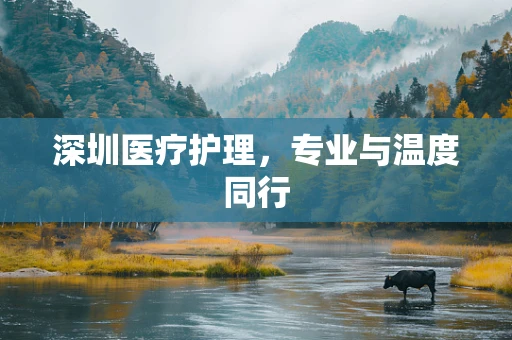 深圳医疗护理，专业与温度同行