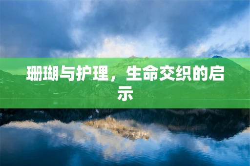 珊瑚与护理，生命交织的启示