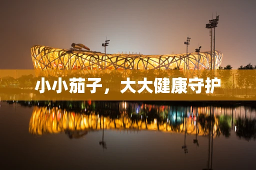 小小茄子，大大健康守护